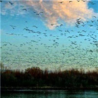 微信好看的头像风景图片