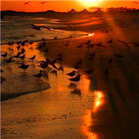 微信好看的头像风景图片