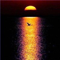 微信好看的头像风景图片