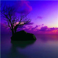 微信好看的头像风景图片