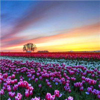 微信好看的头像风景图片