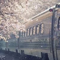 微信好看的头像风景图片