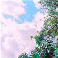 微信好看的头像风景图片