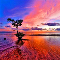 微信好看的头像风景图片