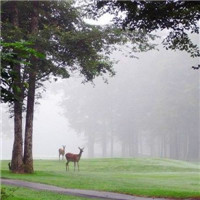 微信好看的头像风景图片