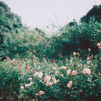 微信好看的头像风景图片