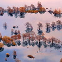 微信好看的头像风景图片