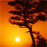 微信好看的头像风景图片