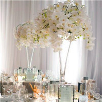 微信好看的头像风景图片