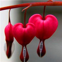 微信好看的头像风景图片