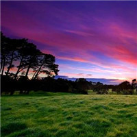 微信好看的头像风景图片