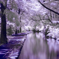 微信好看的头像风景图片