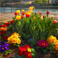 微信好看的头像风景图片