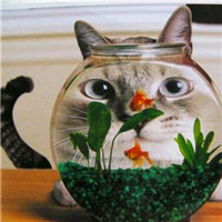 微信好看的头像风景图片