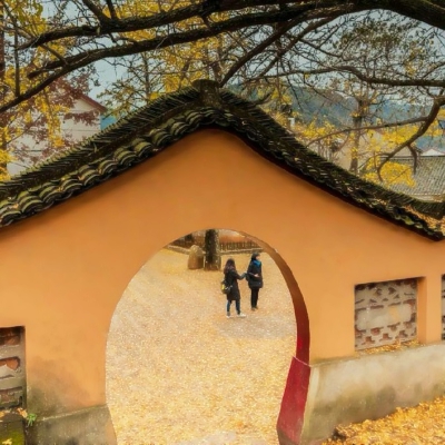 秋天风景美图高清头像