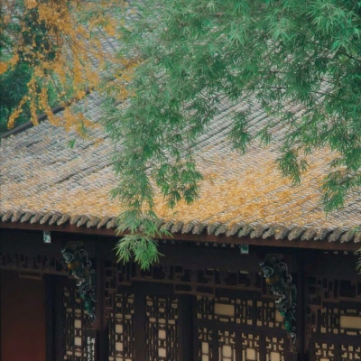 秋天风景美图高清头像
