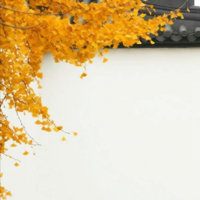 秋天风景美图高清头像