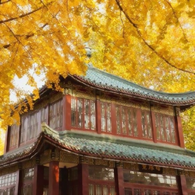 秋天风景美图高清头像