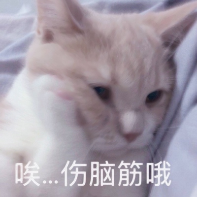 又搞笑又欠揍的情头