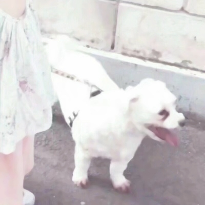 又搞笑又欠揍的情头