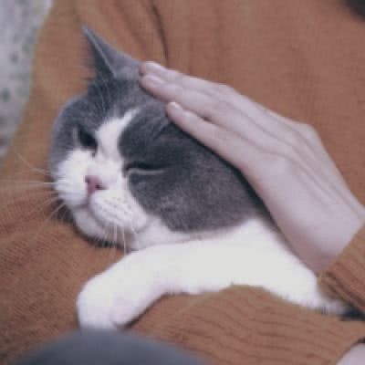 沙雕情侣头像搞怪逗比两张