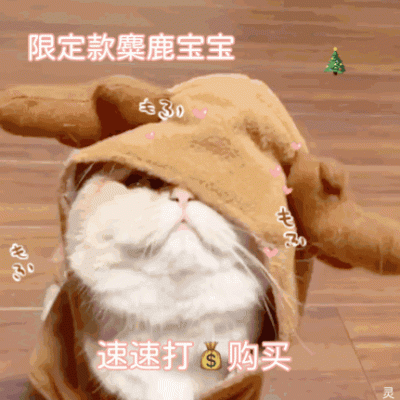 圣诞节小猫头像