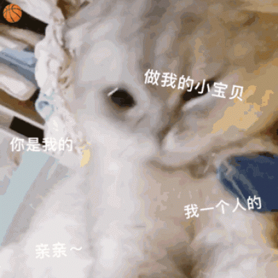 圣诞节小猫头像