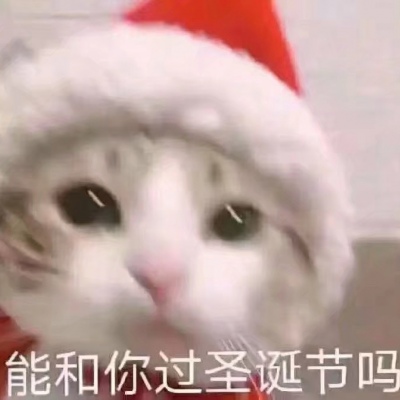 圣诞节小猫头像