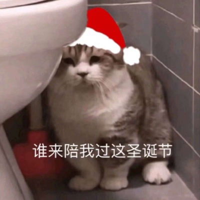 圣诞节小猫头像