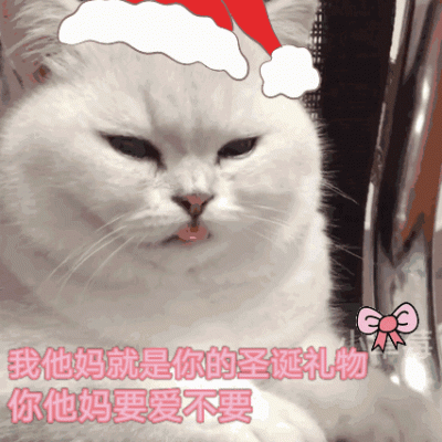 圣诞节小猫头像