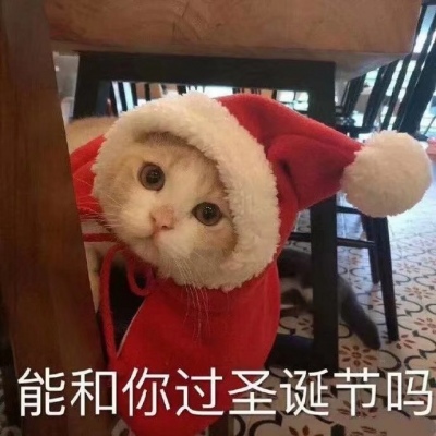 圣诞节小猫头像
