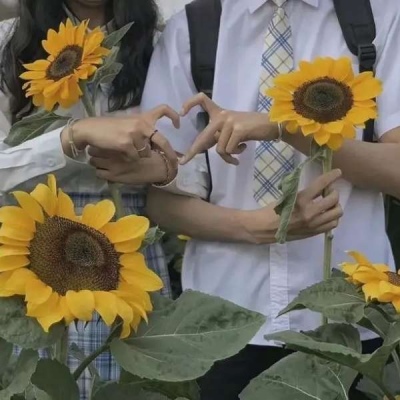 2025微信情侣头像图片