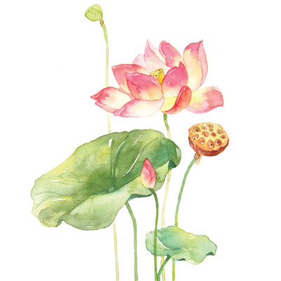 女性旺财旺运微信头像