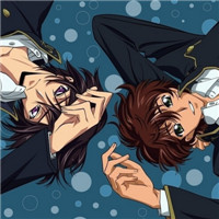 叛逆的鲁鲁修情侣头像