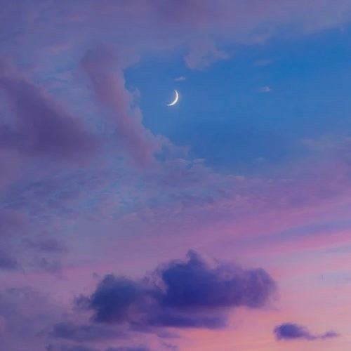 适合永久做头像的图片