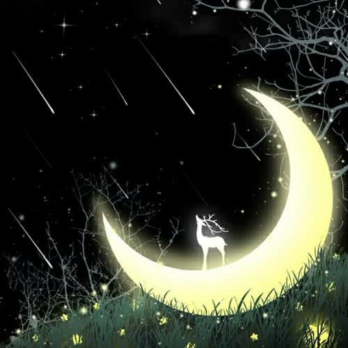 适合永久做头像的图片