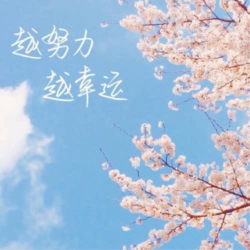 适合永久做头像的图片