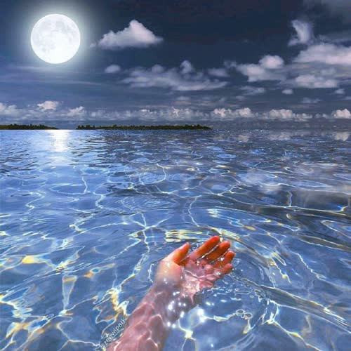 适合永久做头像的图片