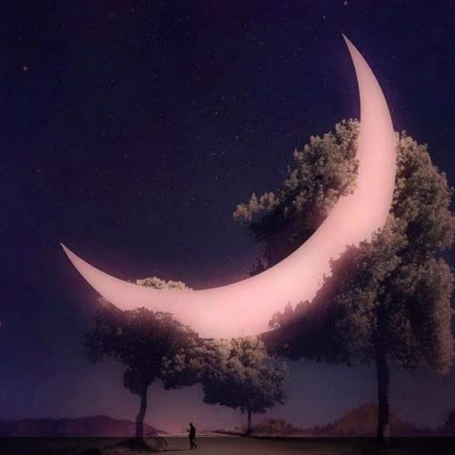 适合永久做头像的图片