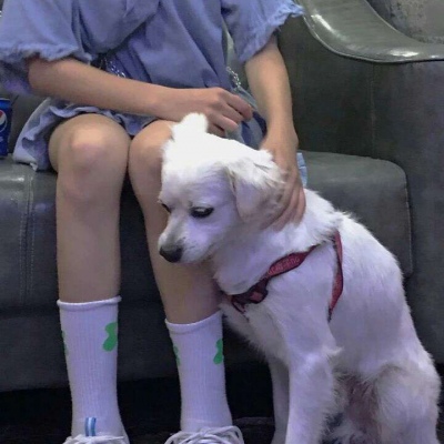 2025网红女头图片