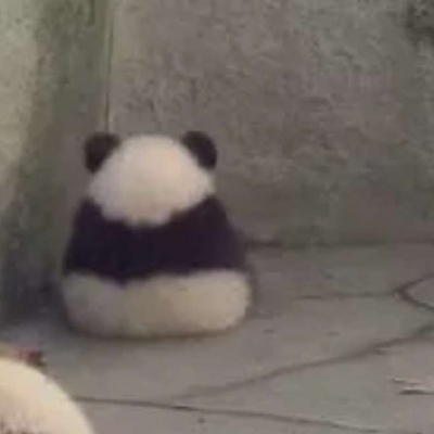 2025最火搞笑头像图片