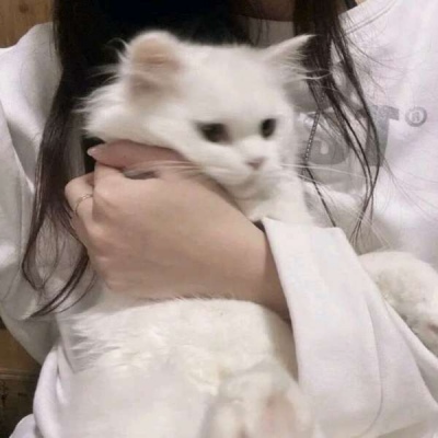 微信头像大全2025年女生图像