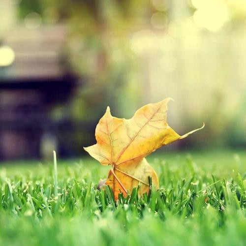 2025励志头像图片