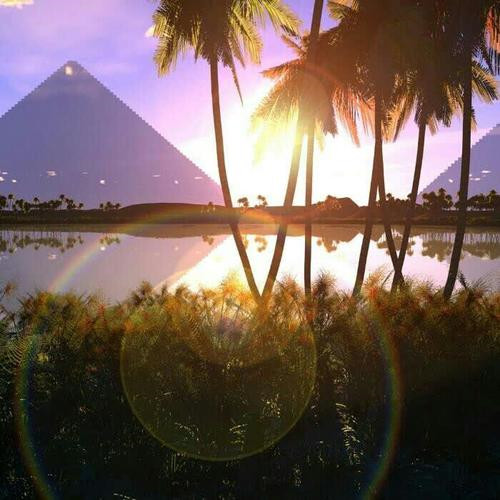 2025励志头像图片