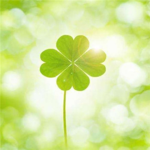 2025励志头像图片