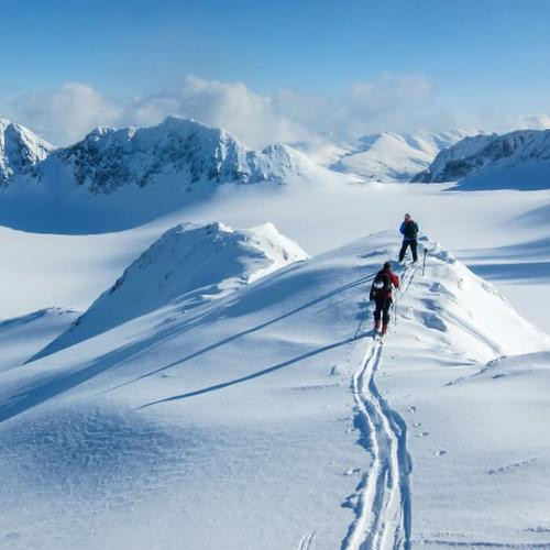 2025励志头像图片