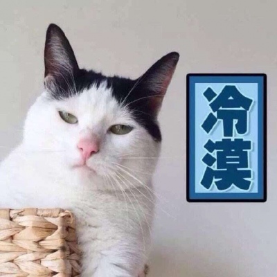 2025情侣头像宠物