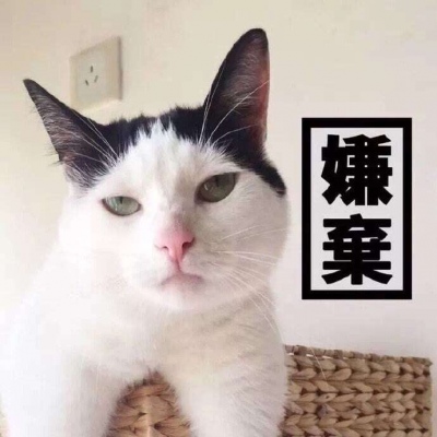 2025情侣头像宠物