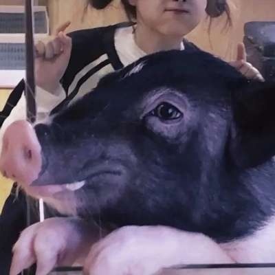 情侣专用2025年一对两张微信情头