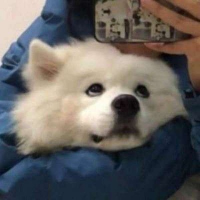 2025好看情侣头像
